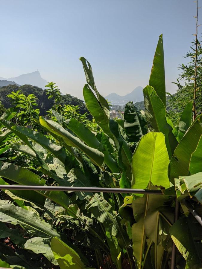Boutique Hotel Gavea Tropical 리오데자네이루 외부 사진